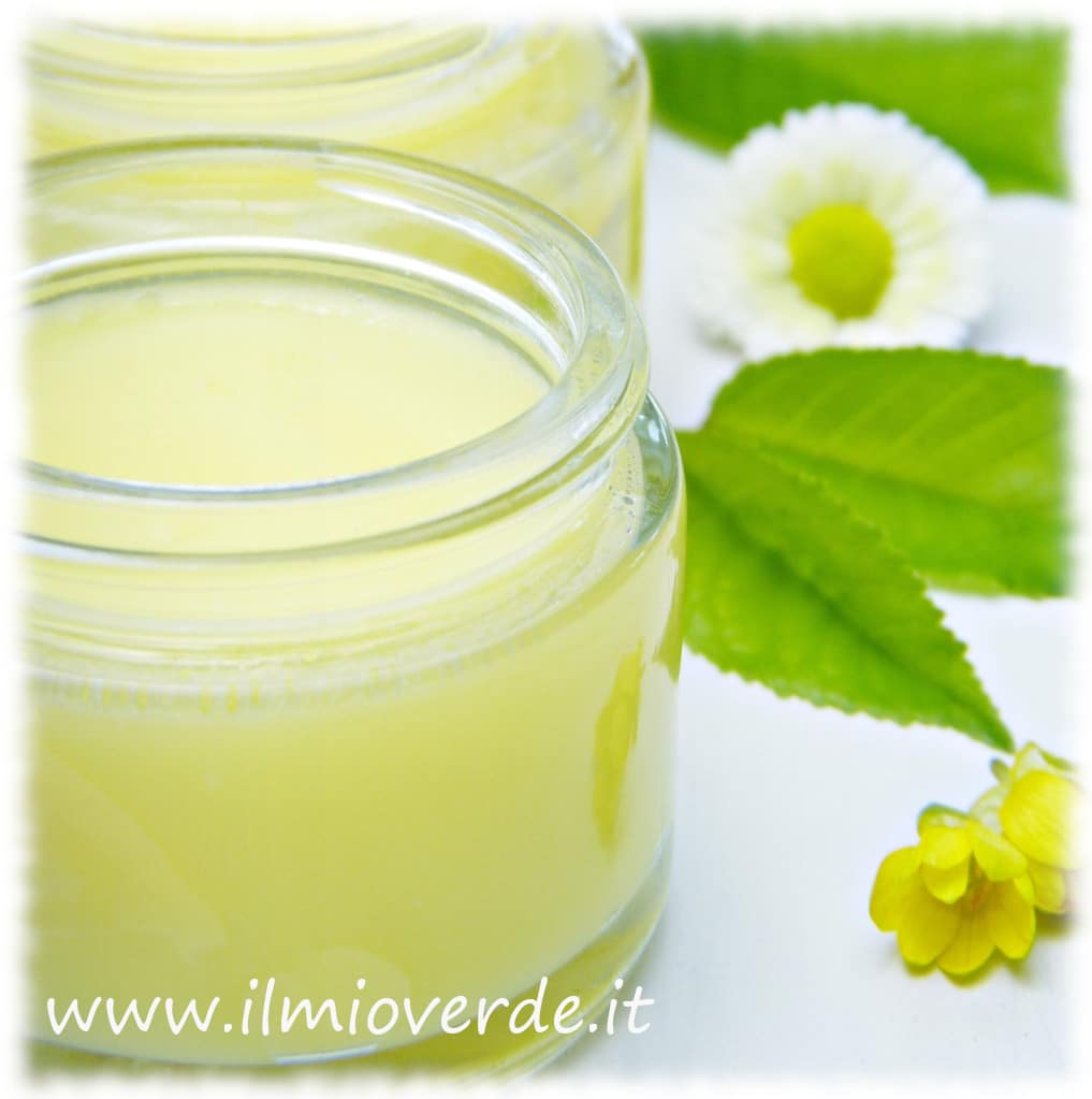 Vasetto di crema idratante con tappo in legno su sfondo bianco.
