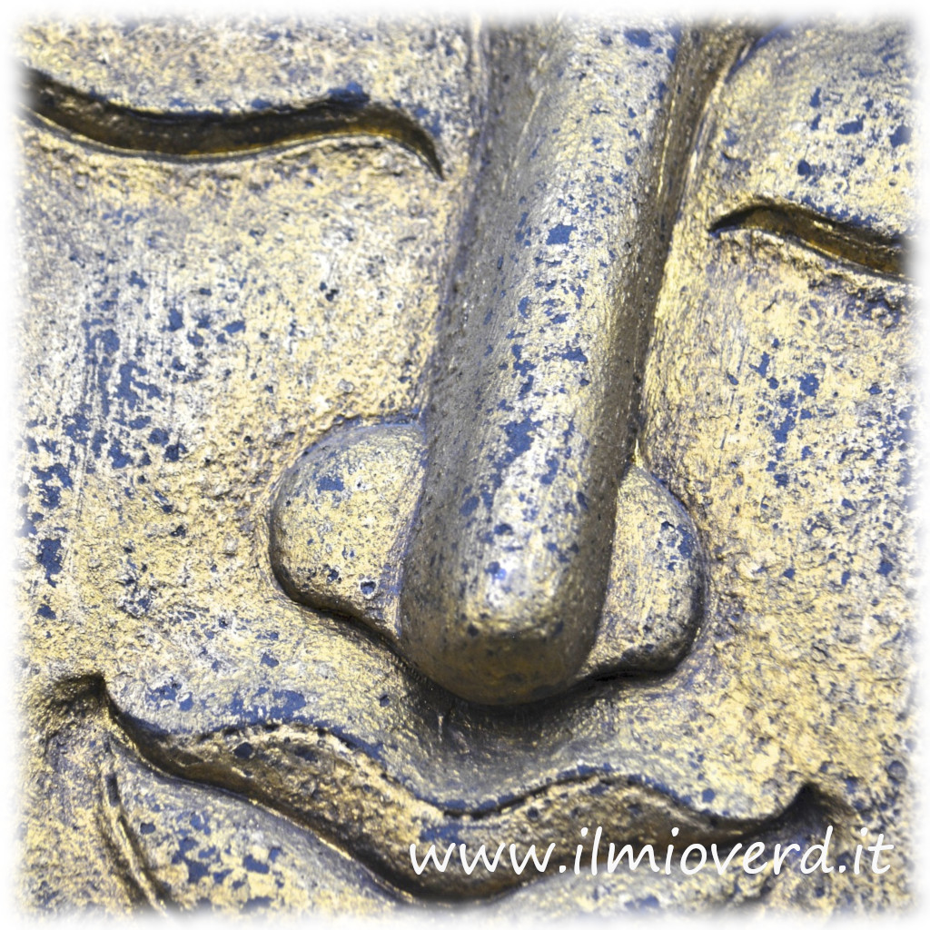 Riflessione interiore in meditazione