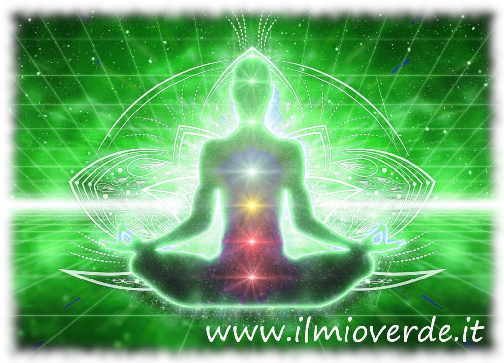 Immagine dei sette chakra del corpo umano, rappresentati con colori distintivi..