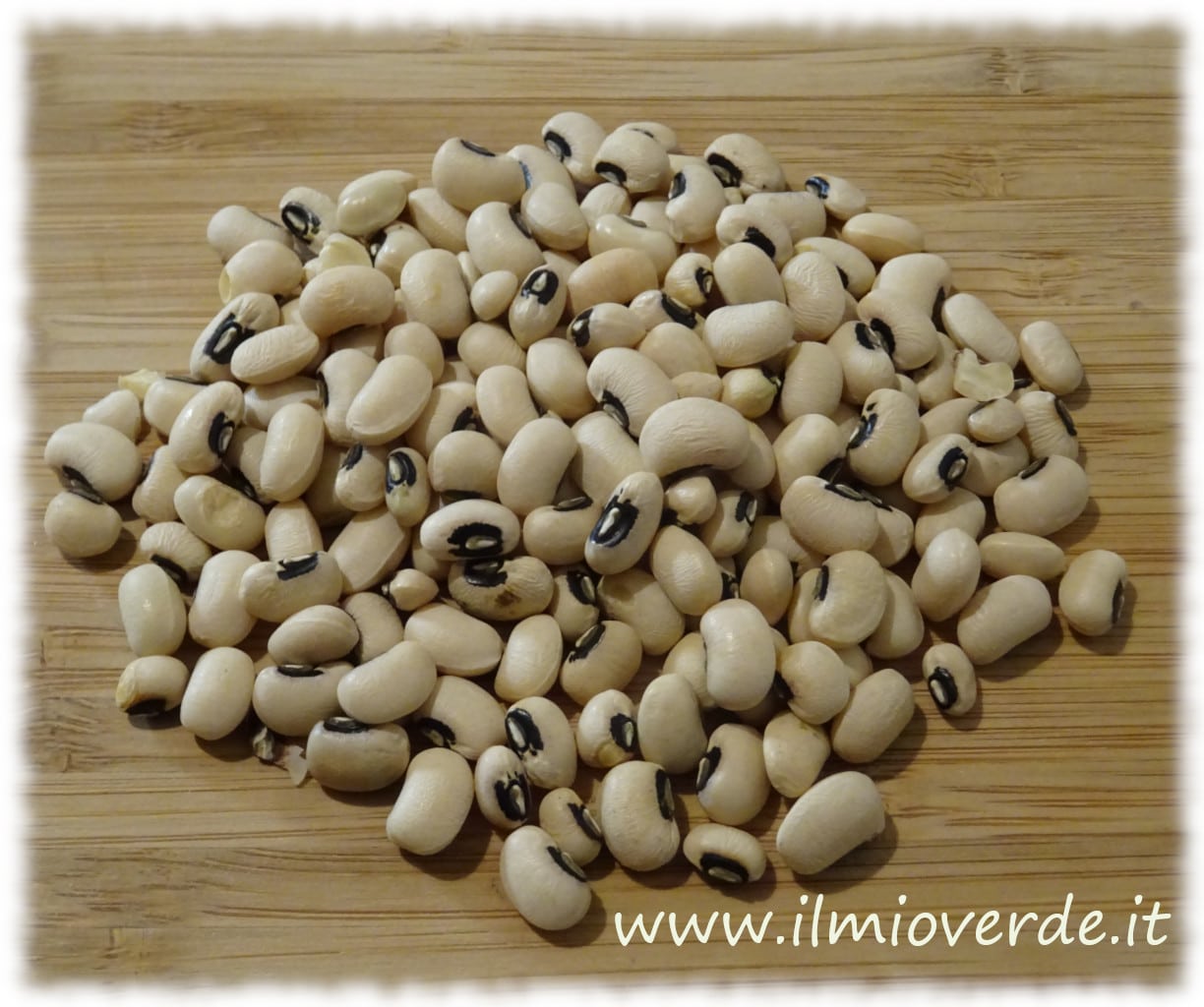 Fagioli dall'occhio secchi, con la caratteristica macchia nera a forma di occhio su ogni seme.