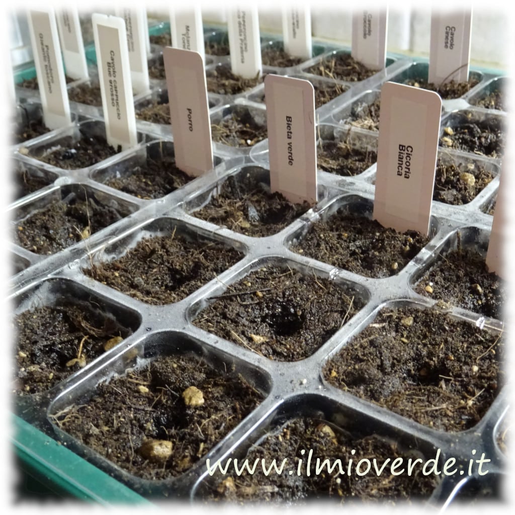 Seminiera in un ambiente controllato con etichette per identificare le piante in fase di germinazione. Perfetta per la presemina a gennaio.